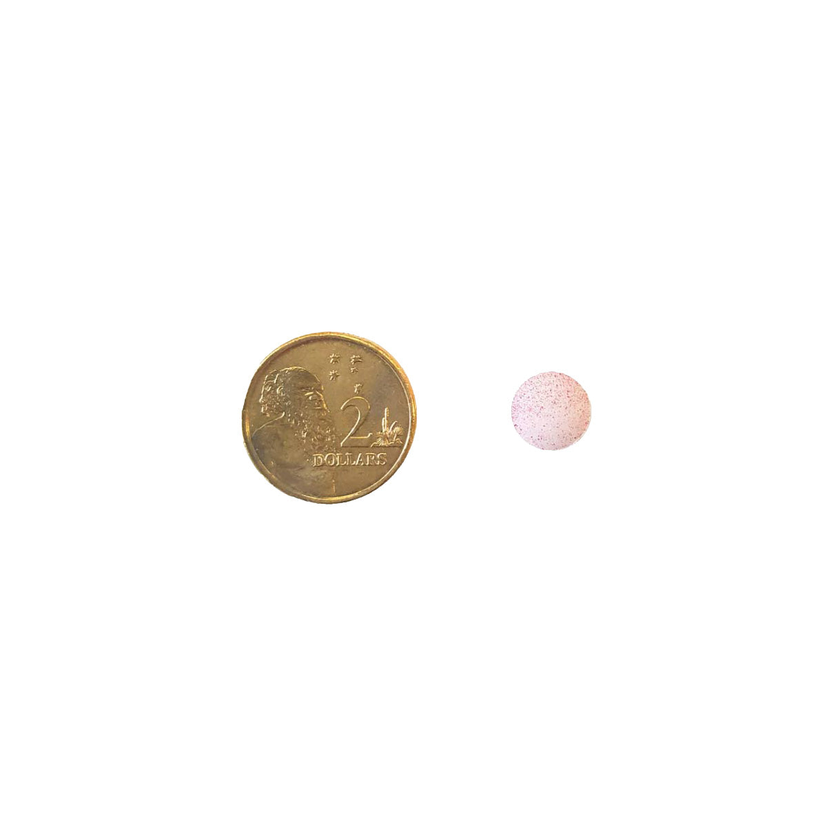 BN Healthy Vitamin B12 Tablet Comparison with 2 Dollar Coin