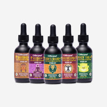 Life Cykel Mushrooms Hero 60ml_1200x1200